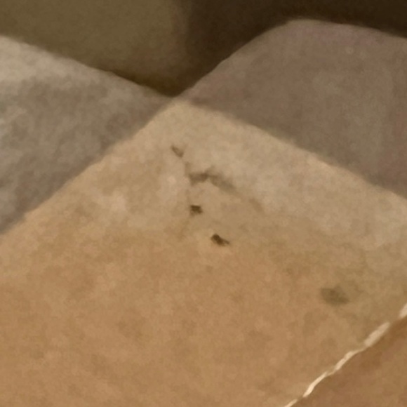 Fossil Heels with Box - Picture 5 of 5